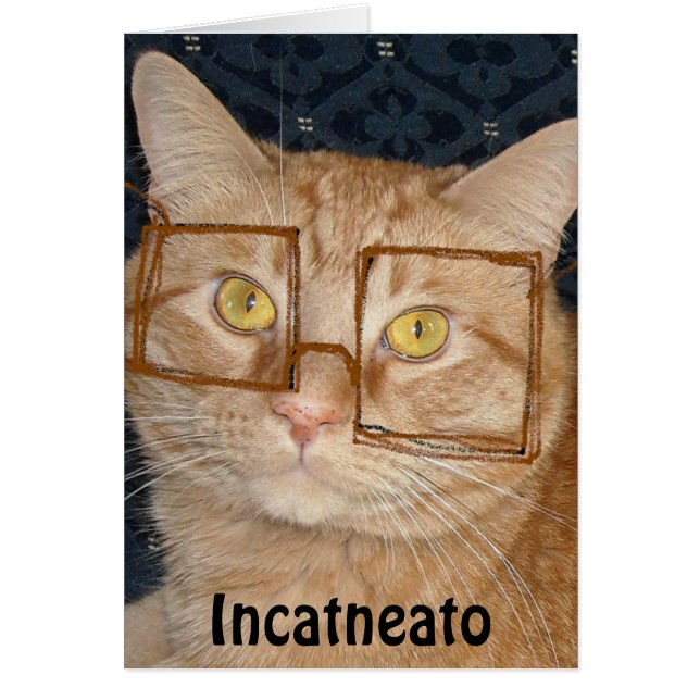 Naranja Tabby Cat/Incognito (Frente)