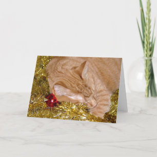 Naranja tabby cat Navidad siesta