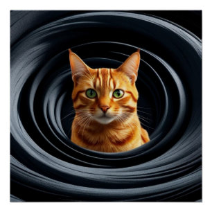 Naranja Tabby Gyre Poster