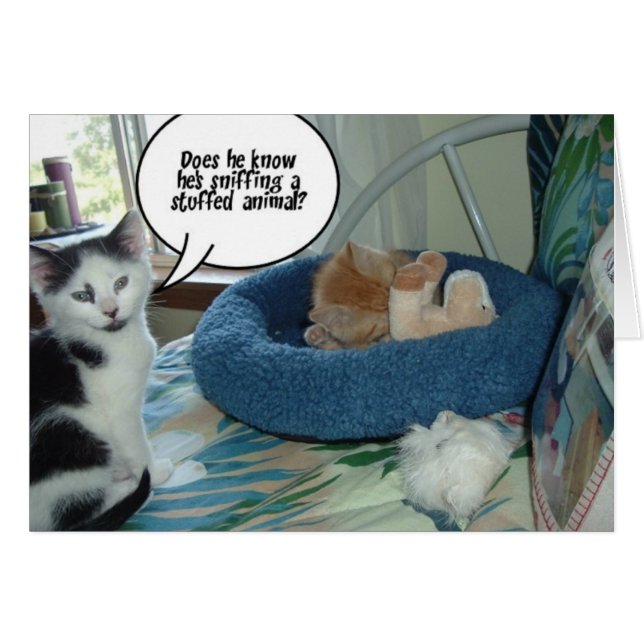 Naranja Tabby Kitty Cat (Anverso (Horizontal))