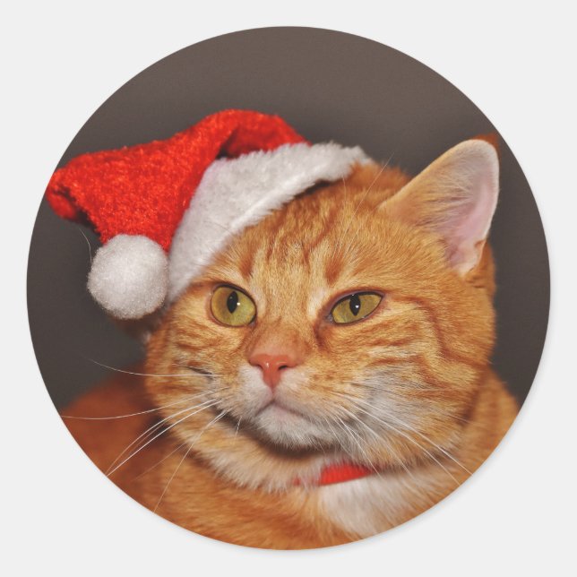 Naranja Tabby Santa Cat Sellos para sobres Pegatin (Anverso)