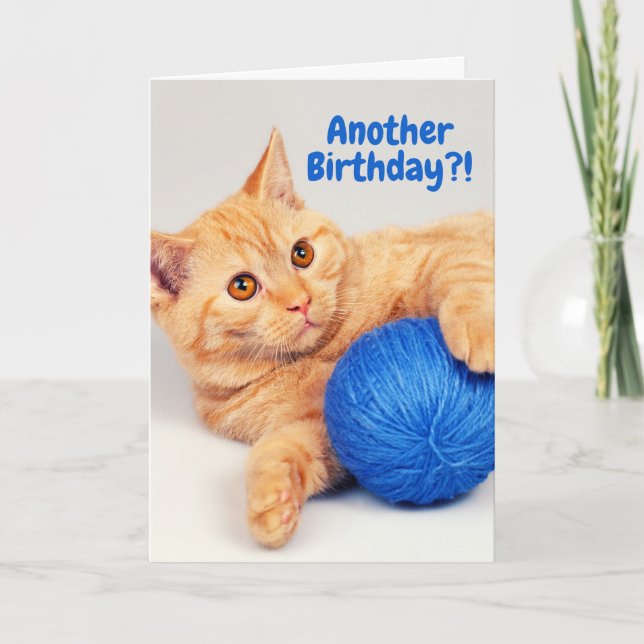 Naranja Tabby tiene una tarjeta de cumpleaños (de  (Anverso)