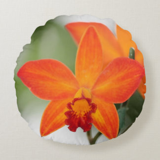 Naranja Tropical Orquídea Almohada redonda