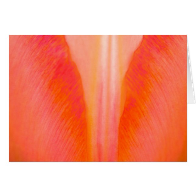 Naranja Tulip (Anverso (Horizontal))