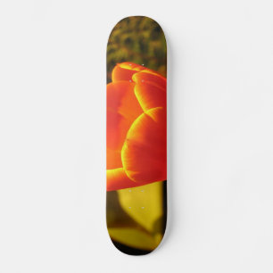 Naranja Tulip Skateboard