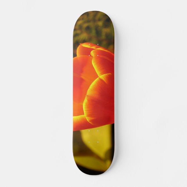 Naranja Tulip Skateboard (Anverso)