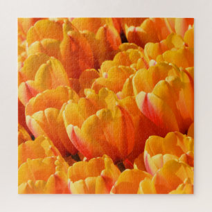 Naranja Tulips Jigsaw Puzzle