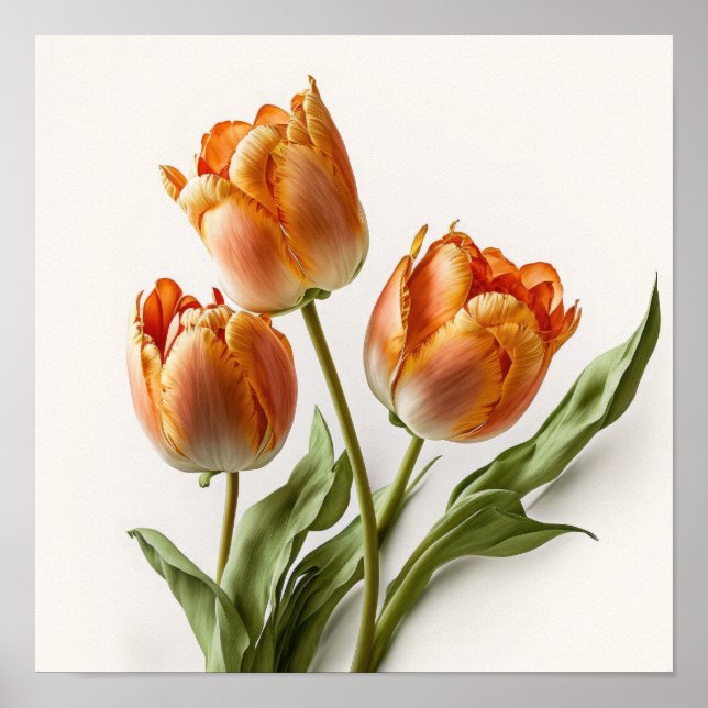 Naranja Tulips Poster de impresión de arte de flor (Frente)
