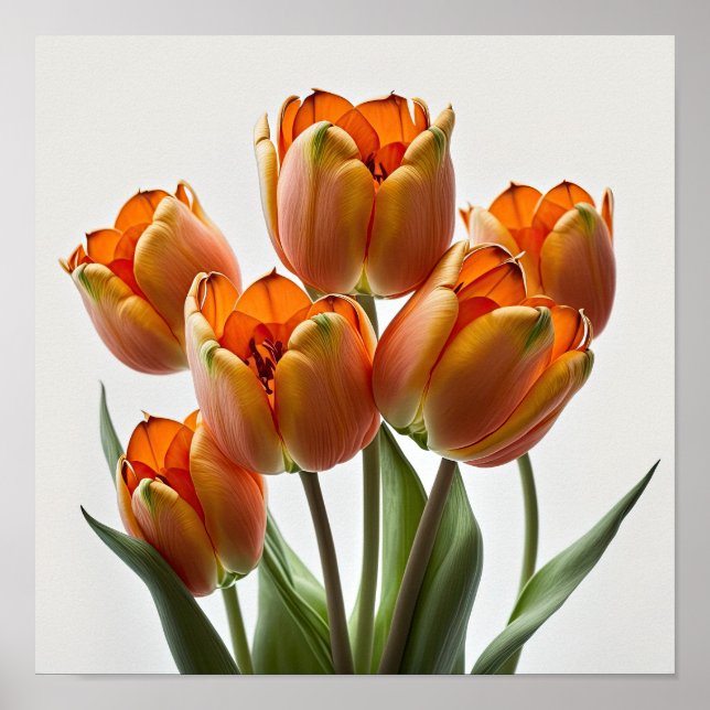 Naranja Tulips Poster de impresión de arte de flor (Frente)