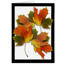 Naranja Y Hojas De Otoño De Oro