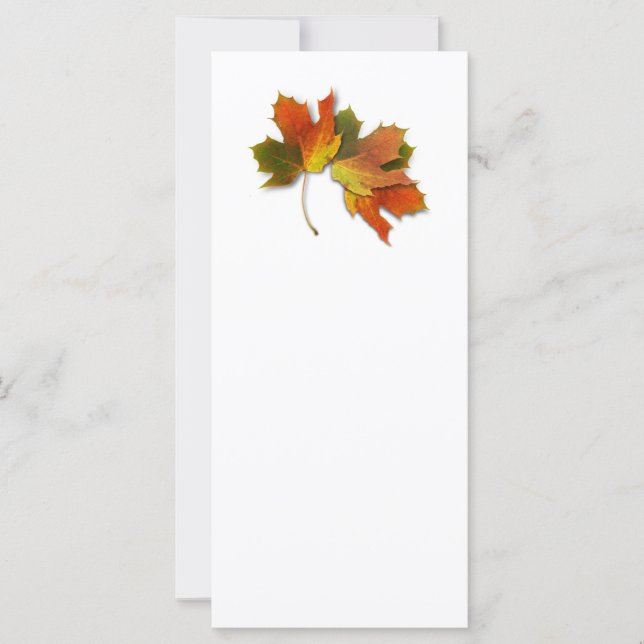 Naranja Y Hojas De Otoño De Oro (Anverso)