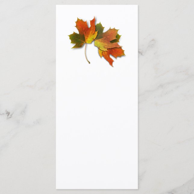 Naranja Y Hojas De Otoño De Oro (Anverso)