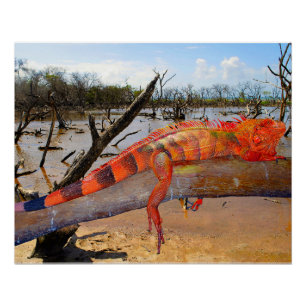 Naranja y lagarto negro en Margarita Glossy Poster