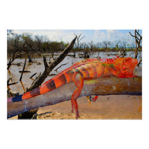 Naranja y lagarto negro en Margarita Glossy Poster