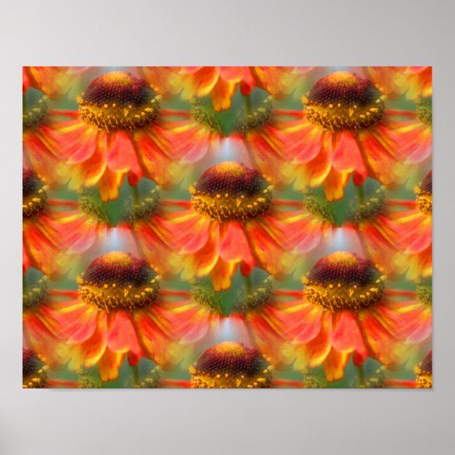Naranja Zinnia Flores Resumen Arte (Frente)