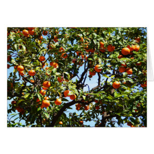 Naranjas