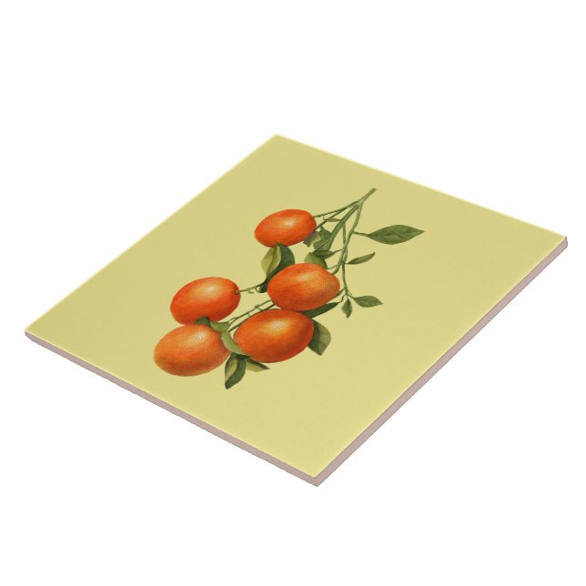 Naranjas ~ Baldosa Botánica ~ Cocina ~ Cualquier C (Lado)
