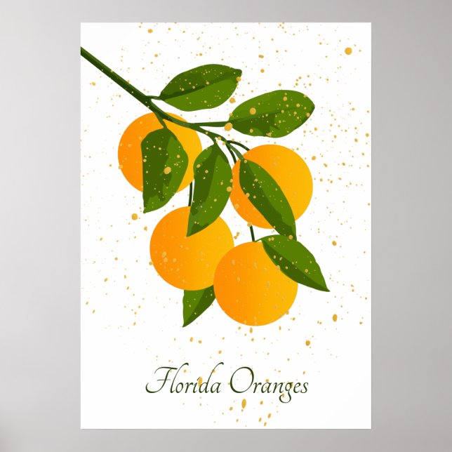 Naranjas de Florida Resumen del arte de la fruta c (Frente)