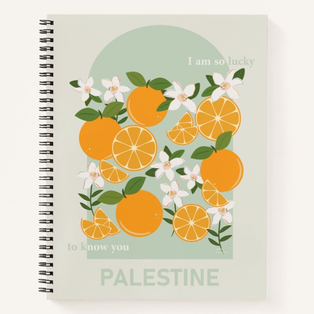 Naranjas palestinos, cuaderno colorido (Anverso)