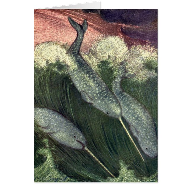 Narballenas de época, ballenas de la vida marina,  (Frente)