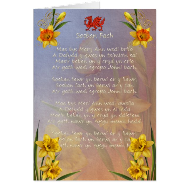 Narciso de Sospan Fach adornado (Frente)