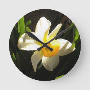 Narciso en el reloj de pared de la alba