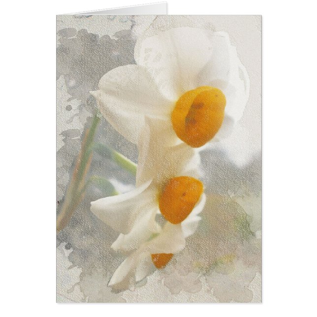 Narciso. Watercolor. (Frente)