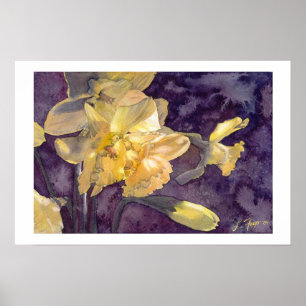 Narcisos a la luz de la luna - Impresión de cartel