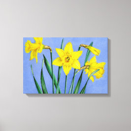 Narcisos amarillos en impresión de lienzo azul