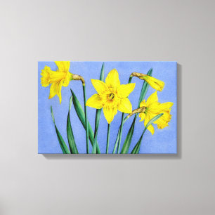 Narcisos amarillos en impresión de lienzo azul