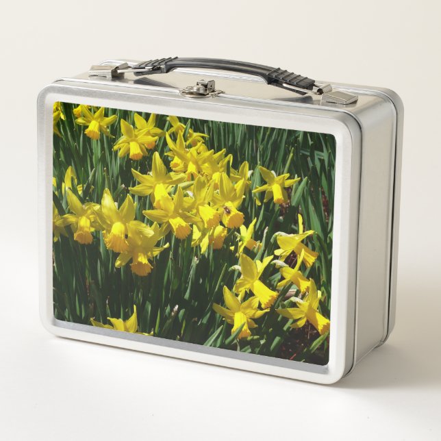 Narcisos Amarillos Flores Alegres de Primavera (Anverso)
