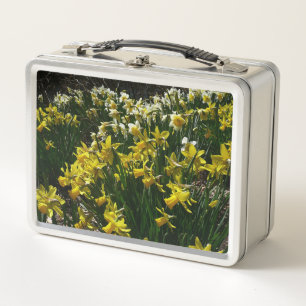 Narcisos amarillos y blancos Flores de primavera