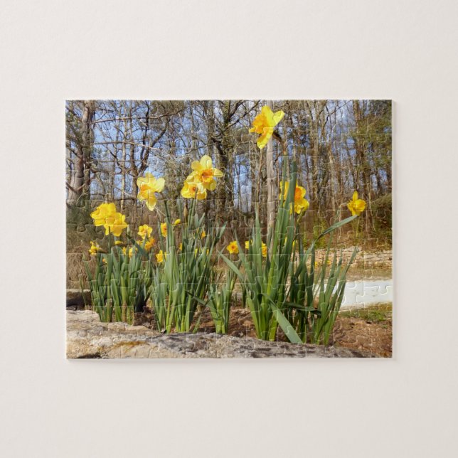 Narcisos en el rompecabezas de la foto de Pascua (Horizontal)