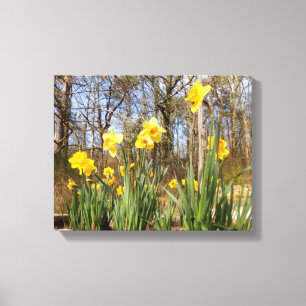 Narcisos en la impresión de la lona de Pascua