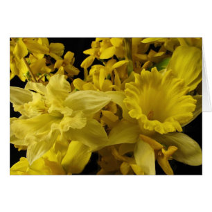 Narcisos y Forsythia