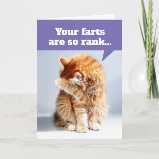 Nariz De Gato Debido A La Tarjeta De Cumpleaños De (Anverso)