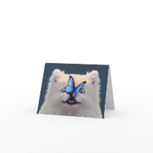 NARIZ DE LA MARIPOSA GRACIAS A LA TARJETA