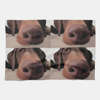 Nariz de perro del paño de la cocina