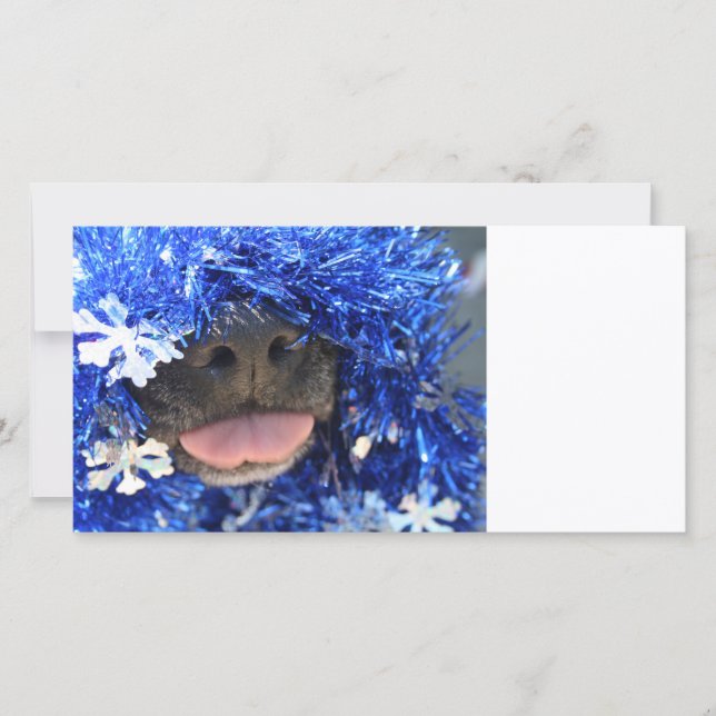 Nariz de perro negro lengua azul (Anverso)