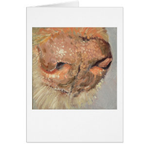 Nariz del laboratorio