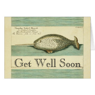 Narwhal Antiguo Whale Watercolor Arte Científico