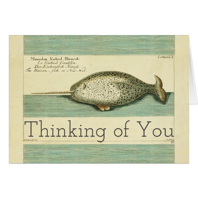 Narwhal Antiguo Whale Watercolor Arte Científico (Anverso (Horizontal))