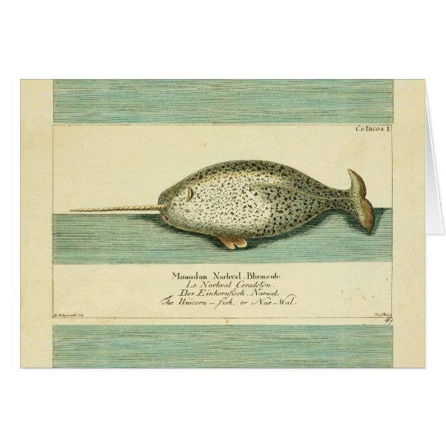 Narwhal Antiguo Whale Watercolor Arte Científico (Anverso (Horizontal))