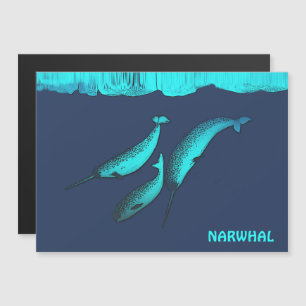 Narwhal Bajo El Hielo