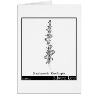 Nasticreechia Krorluppia.