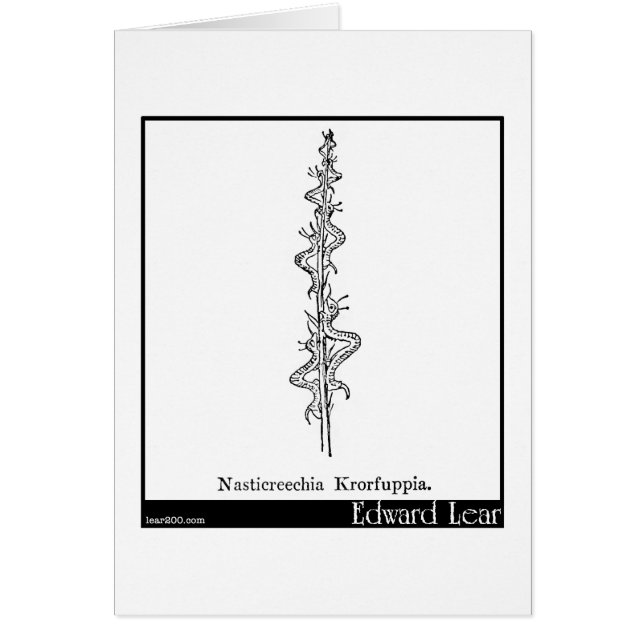 Nasticreechia Krorluppia. (Frente)