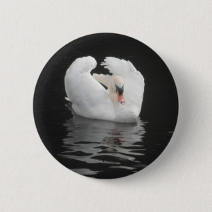 Natación del botón del cisne