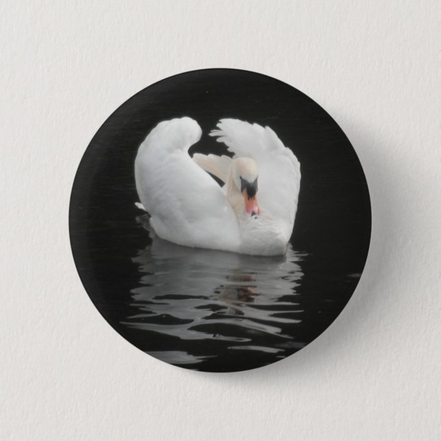 Natación del botón del cisne (Anverso)