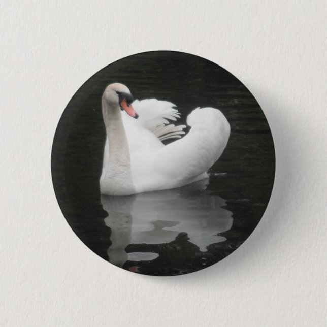 Natación del cisne del botón (Anverso)