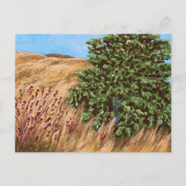 Nathanael y la postal del árbol de la higuera
